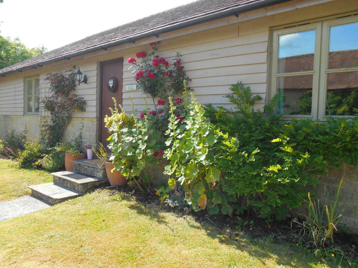 Spacious Swallow Cottage Tisbury Luaran gambar